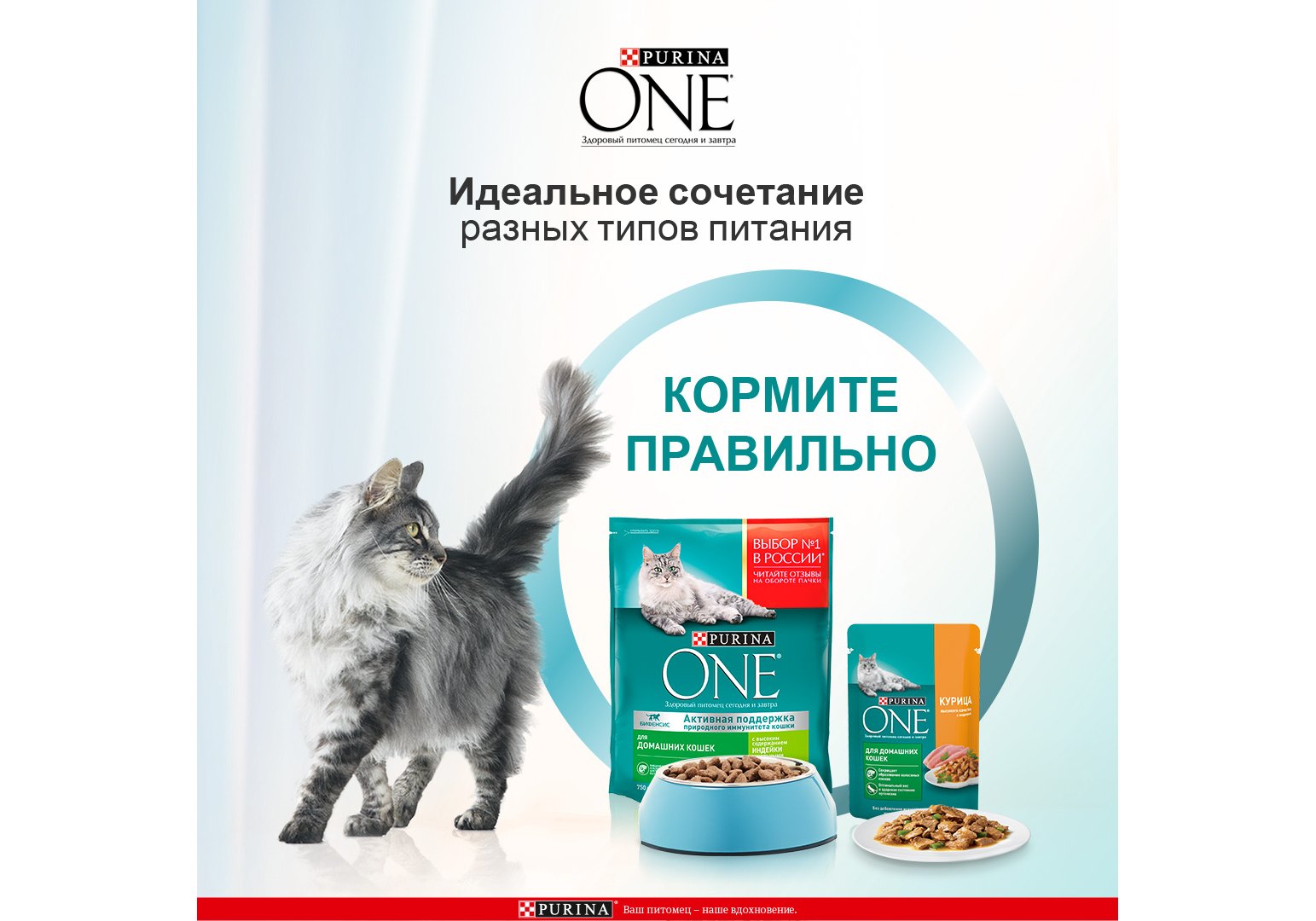 PURINA ONE HOUSECAT / Влажный корм Паучи Пурина УАН для взрослых кошек при  домашнем образе жизни с курицей (цена за упаковку) 75г х 26шт купить в  Москве по низкой цене 980₽ |