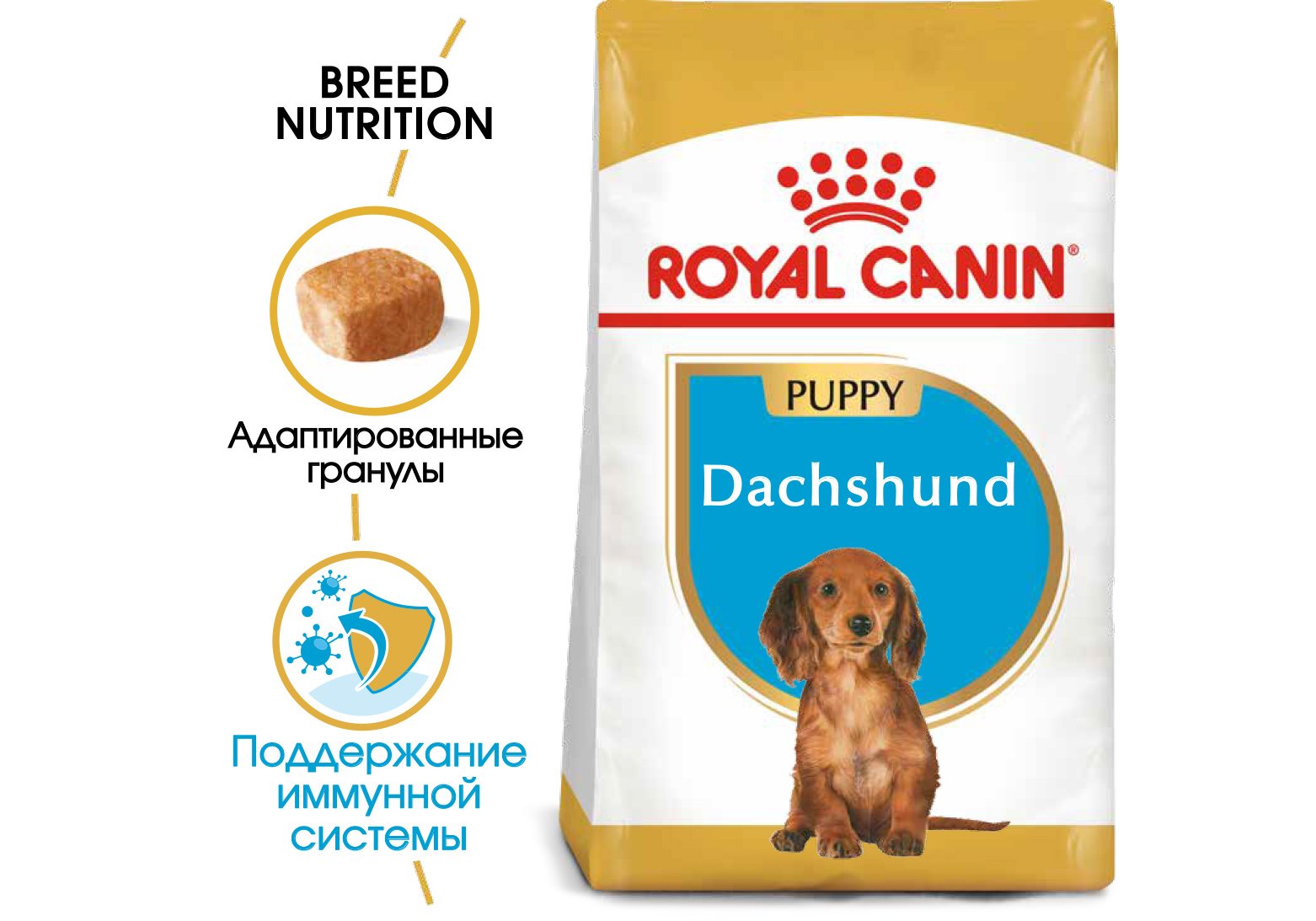 Royal Canin Breed dog Dachshund Junior / Сухой корм Роял Канин для Щенков  породы Такса в возрасте от 2 до 10 месяцев 1,5 кг купить в Москве по низкой  цене 1 222₽ | интернет-магазин ZooMag.ru