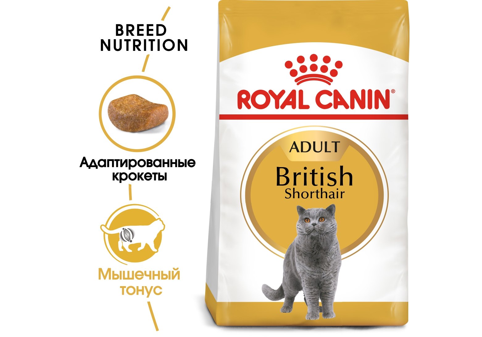 Royal Canin Breed cat British Shorthair / Сухой корм Роял Канин для  Взрослых кошек породы Британская короткошерстная