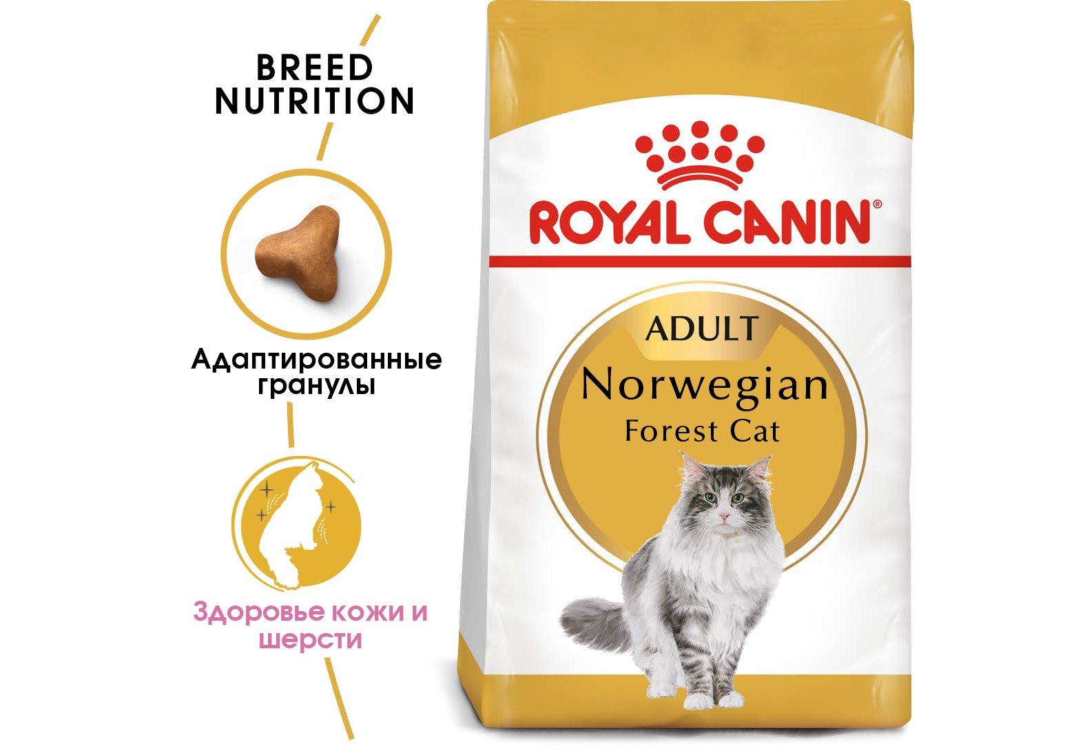 Royal Canin Breed cat Norwegian Forest / Сухой корм Роял Канин для взрослых  кошек породы Норвежская Лесная старше 1 года