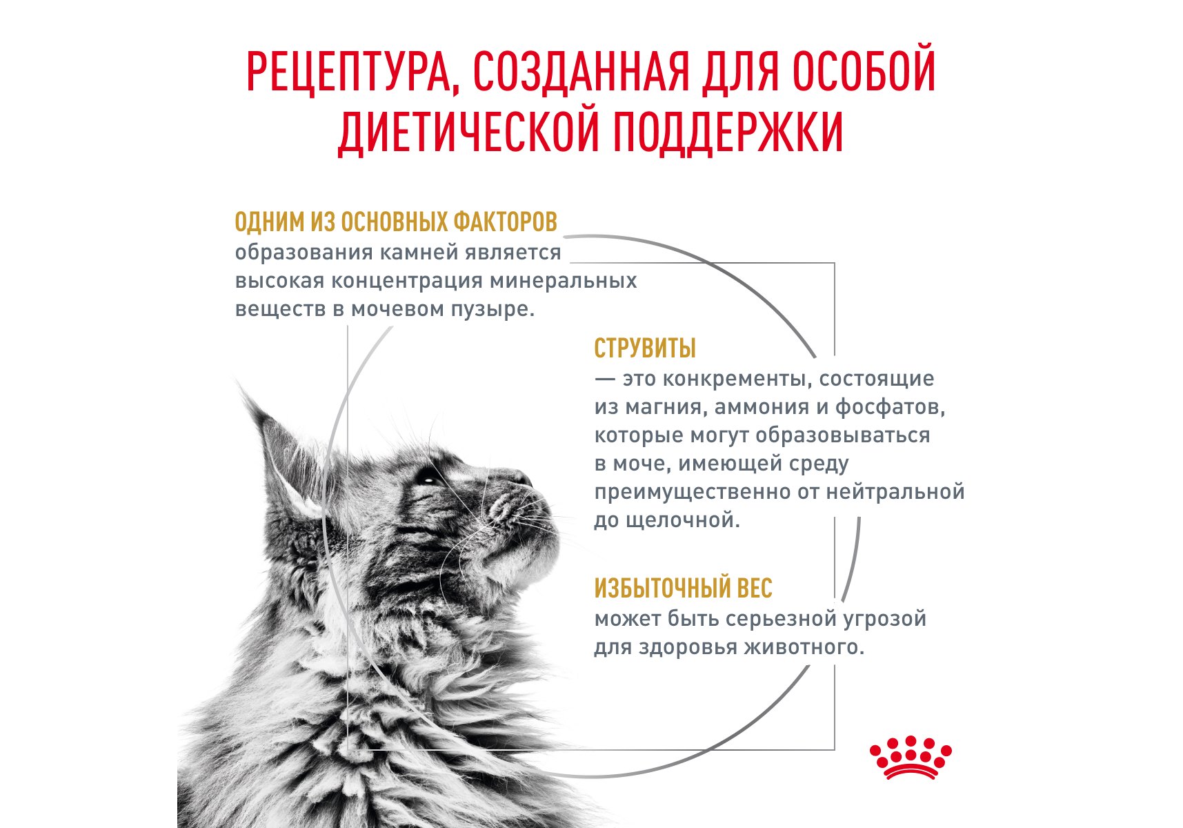 Royal Canin Urinary SO Moderate Calorie / Ветеринарный сухой корм Роял  Канин Уринари для кошек с умеренным содержанием энергии при лечении  мочекаменной болезни 7 кг купить в Москве по низкой цене 9