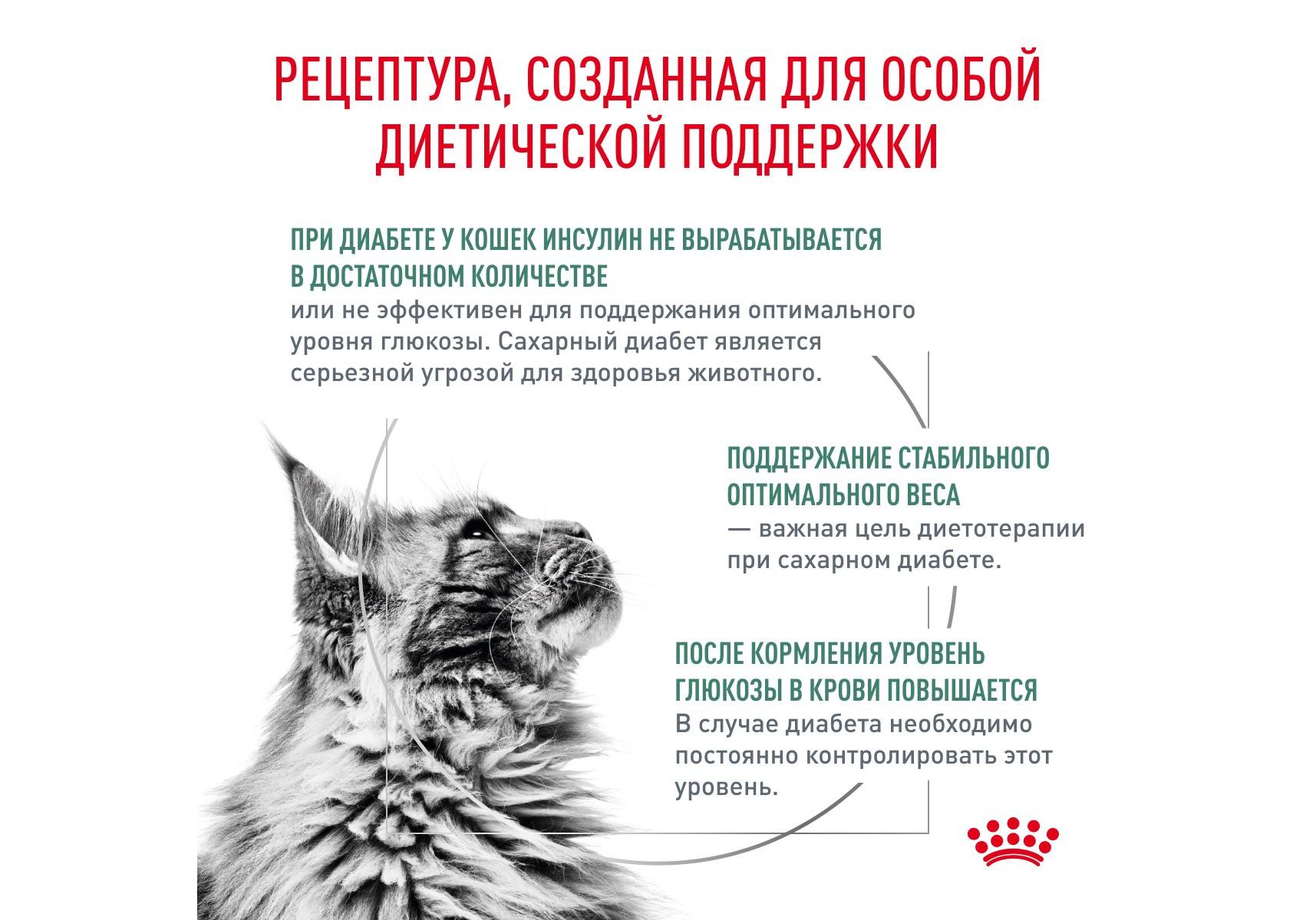 Royal Canin Diabetic DS46 / Ветеринарный сухой корм Роял Канин Диабетик для  кошек Сахарный диабет 400 г купить в Москве по низкой цене 836₽ |  интернет-магазин ZooMag.ru