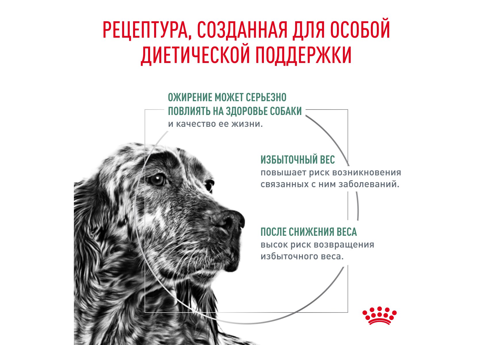 Royal Canin Satiety Weight Management SAT30 / Ветеринарный сухой корм Роял  Канин для собак Сетаети Вейт Менеджмент Контроль избыточного веса 1,5 кг  купить в Москве по низкой цене 1 914₽ | интернет-магазин ZooMag.ru