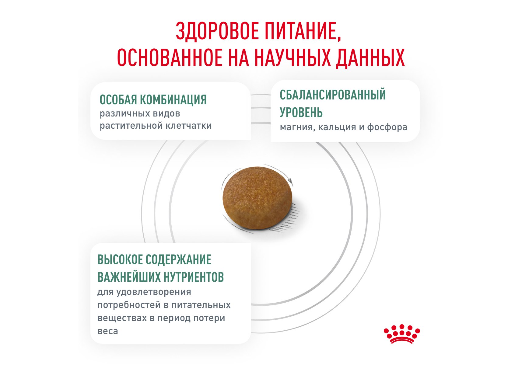 Royal Canin Satiety Weight Management Small Dogs / Ветеринарный сухой корм  Роял Канин Сетаети Смол Догз для собак Мелких пород Контроль избыточного  веса 1,5 кг купить в Москве по низкой цене 1