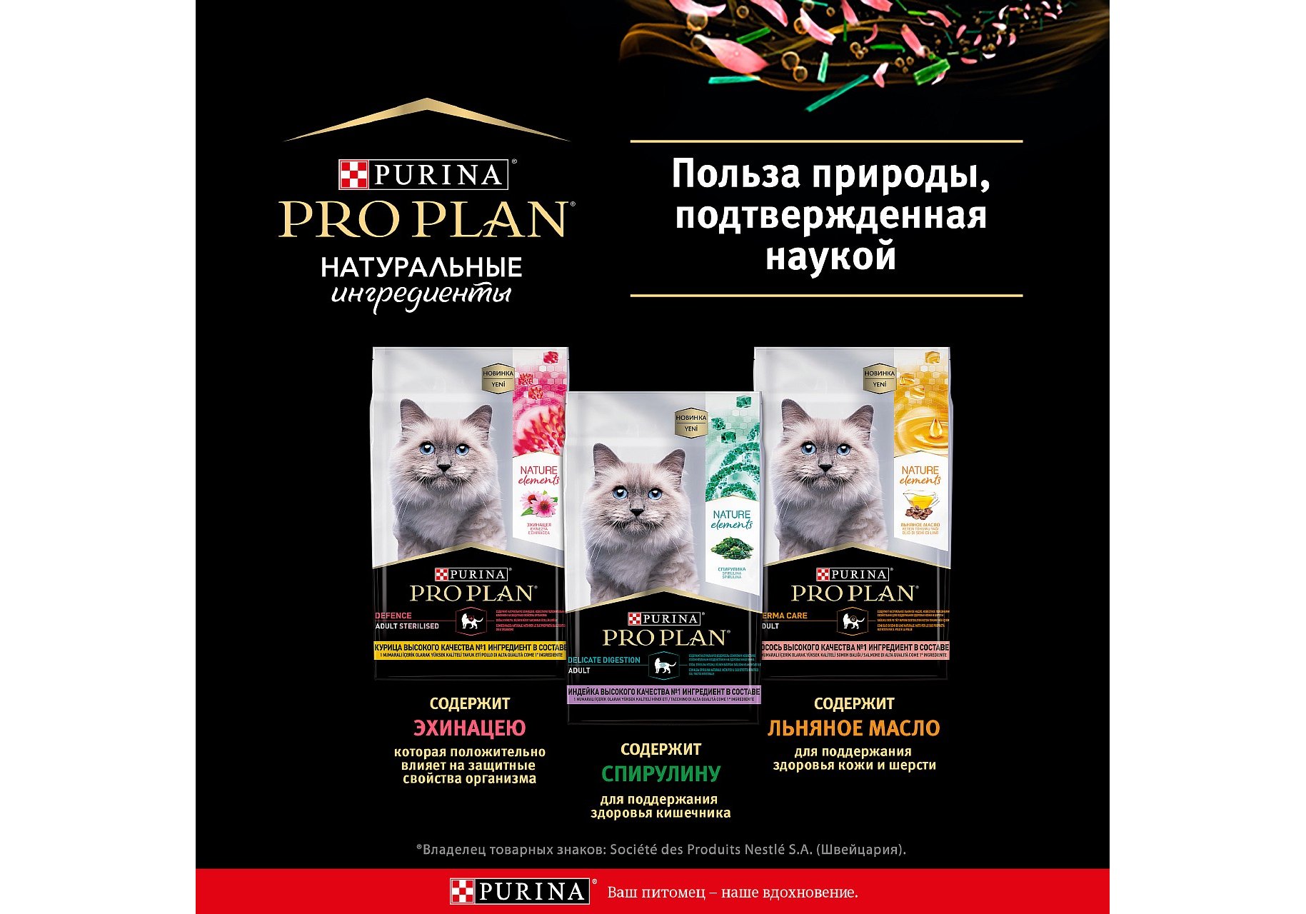 PRO PLAN NATURE ELEMENTS / Сухой корм ПРО ПЛАН для взрослых кошек с лососем  7 кг купить в Москве по низкой цене 6 810₽ | интернет-магазин ZooMag.ru