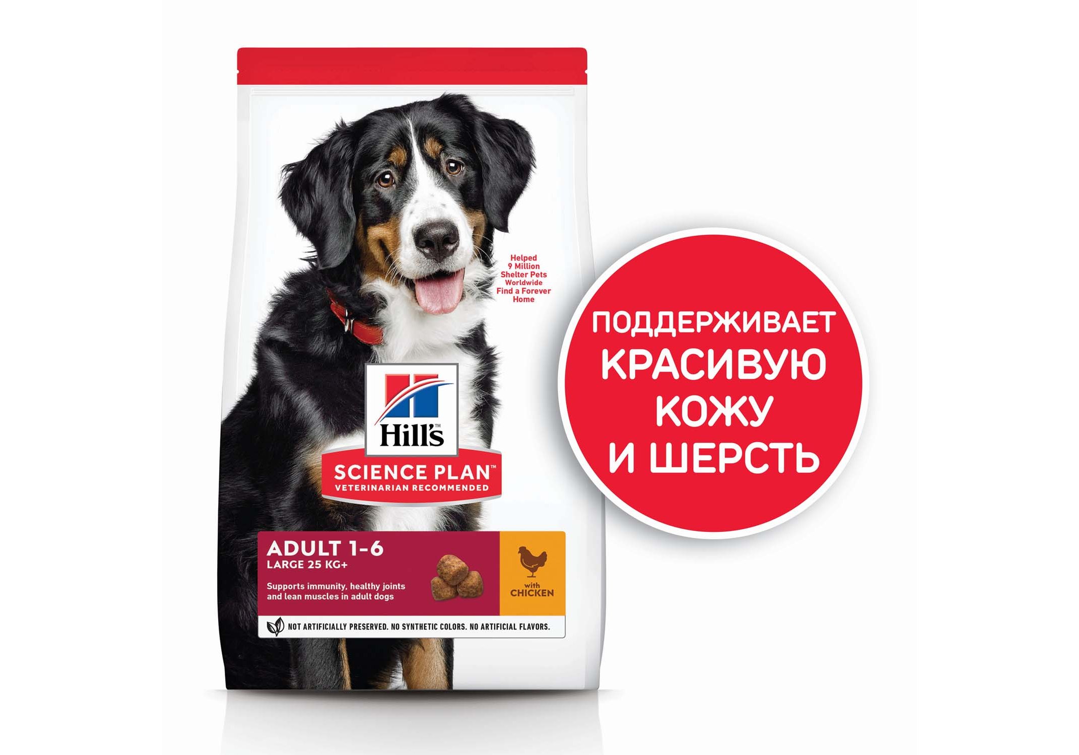 Hills Science Plan Adult 1-6 Large Chicken / Сухой корм Хиллс для собак  Крупных пород Курица 12 кг купить в Москве по низкой цене 8 820₽ |  интернет-магазин ZooMag.ru