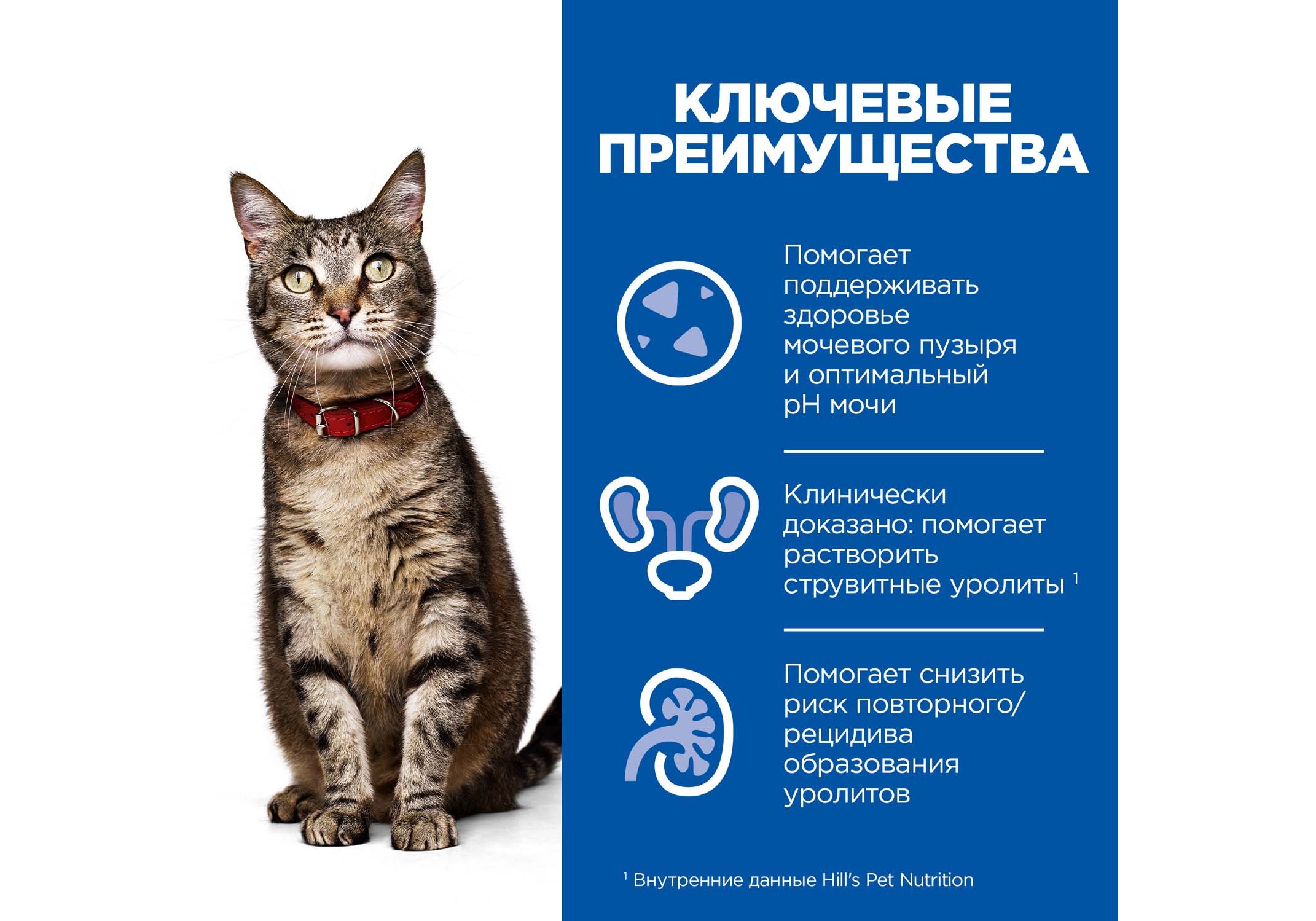 Hills Prescription Diet cd Multicare Urinary Care / Лечебный корм Хиллс  для кошек при МКБ Курица 5 кг купить в Москве по низкой цене 7 520₽ |  интернет-магазин ZooMag.ru