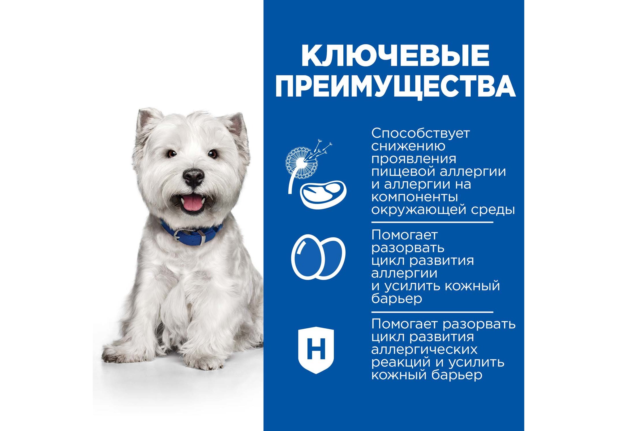 Complete the mini. Complete the mini. Complete the mini. Линкольн 1974. Complete the mini.