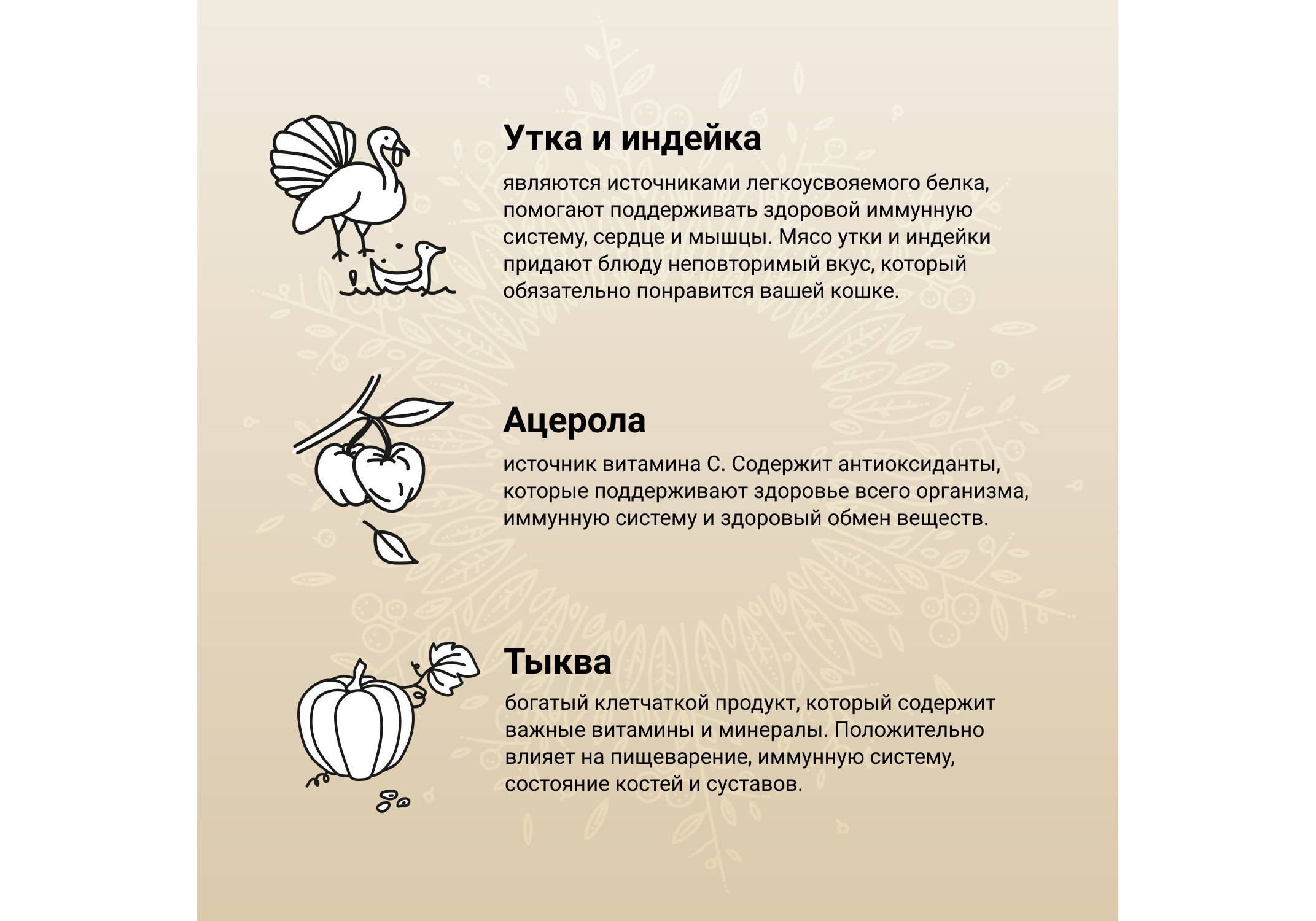 Craftia Harmona Cat Sterilised Duck & Turkey / Сухой корм Крафтия для  Стерилизованных кошек Утка индейка 320 г купить в Москве по низкой цене  695₽ | интернет-магазин ZooMag.ru