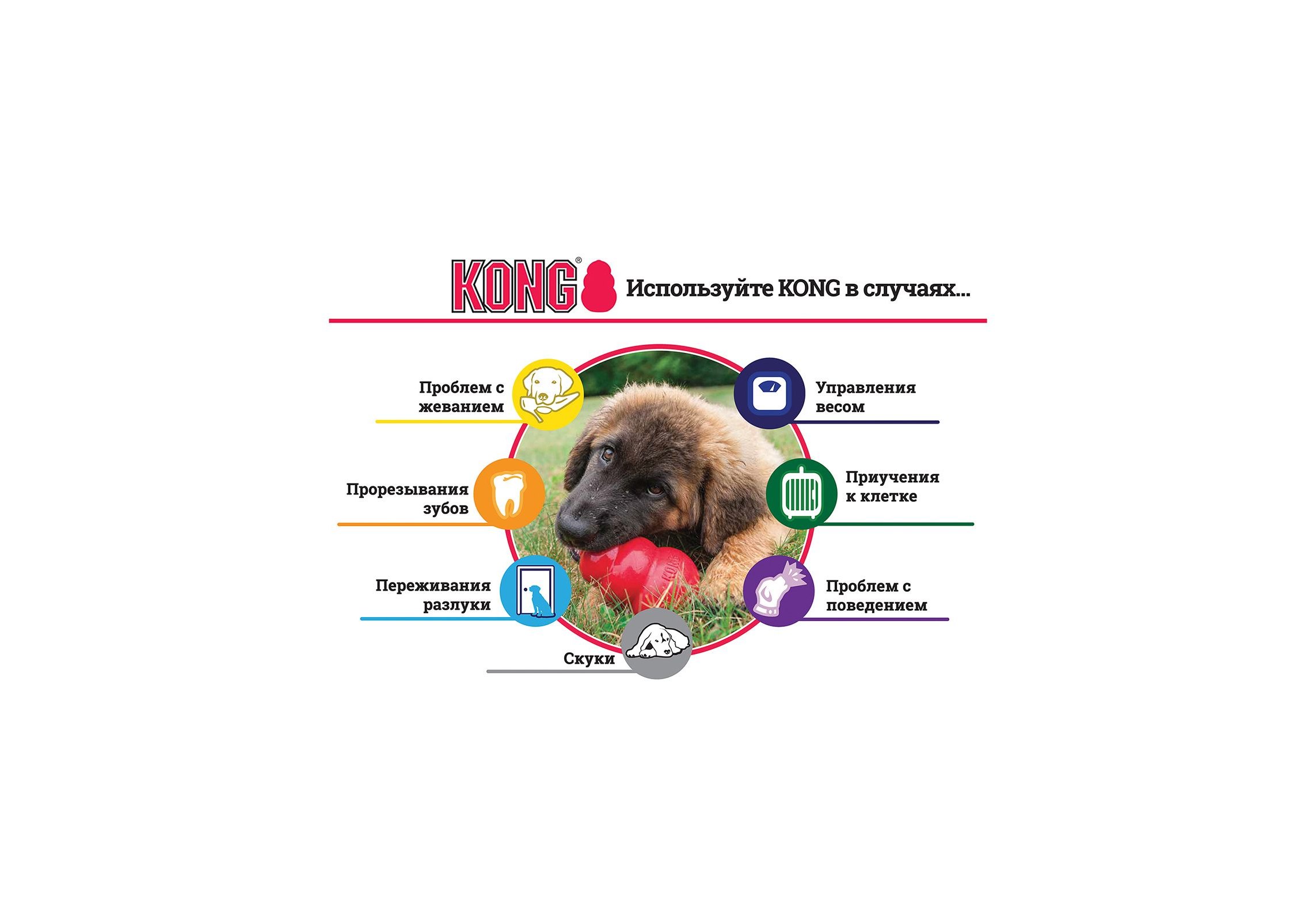 Kong Puppy Classic / Игрушка Конг для Щенков Цвета: розовый, голубой  (указывайте цвет в комментарии к заказу) M 8х5 см купить в Москве по низкой  цене 890₽ | интернет-магазин ZooMag.ru