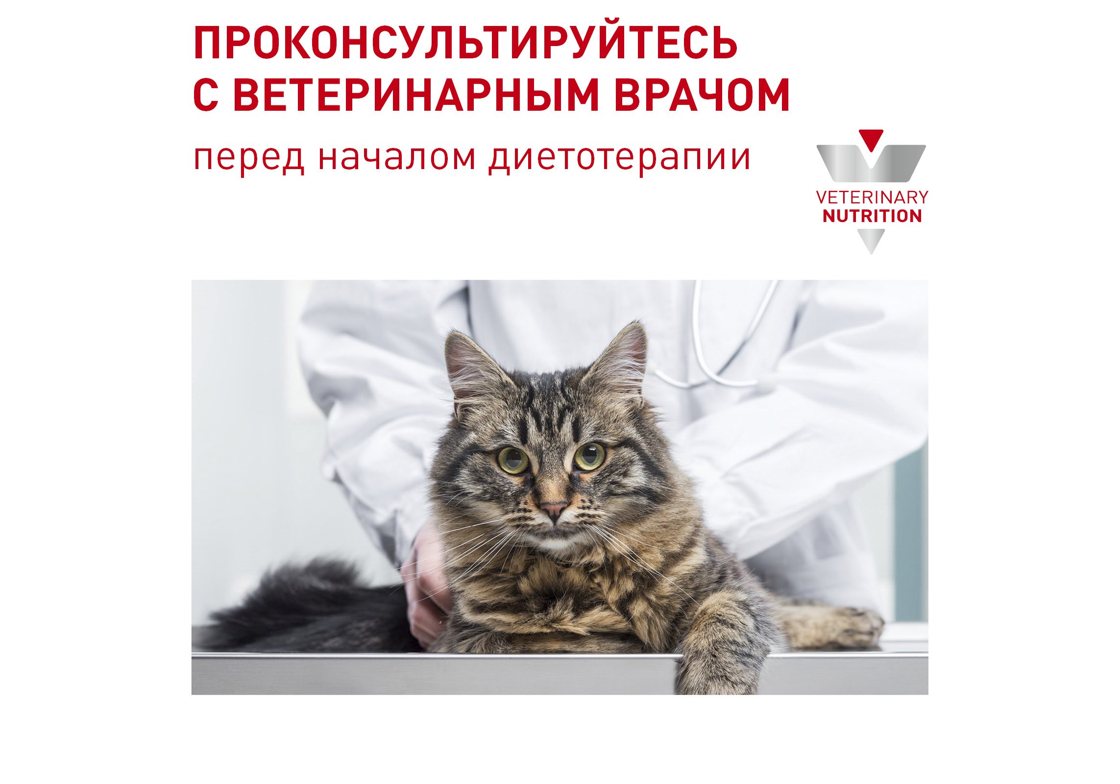 Royal Canin Neutered Satiety Balance / Ветеринарный сухой корм Роял Канин  Ньютеред Сетаети Бэланс для взрослых Кастрированных котов и Стерилизованных  кошек с момента стерилизации и до 7 лет 400 г + пауч