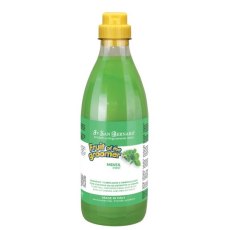 Iv San Bernard Fruit of the Groomer Mint Vitamin В6 / Шампунь Ив Сан Бернард для любого вида шерсти с витамином В6