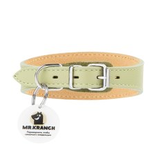 Mr.Kranch / Ошейник-cеледка Мистер Кранч для собак из Натуральной кожи с QR-адресником Нежно-зеленый