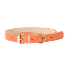 Mr.Kranch / Ошейник Мистер Кранч для собак из Натуральной кожи Прямой Оранжевый