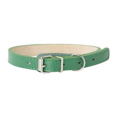 Mr.Kranch / Ошейник Мистер Кранч для собак из Натуральной кожи Прямой Зеленый