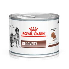 Royal Canin Recovery Canine / Ветеринарный влажный корм (Консервы) Роял Канин Рекавери для собак и кошек Анорексия Восстановление Кормление через зонд (Цена за упаковку)