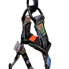 Camon / Шлейка Камон для собак с поводком и пряжкой безопасности
