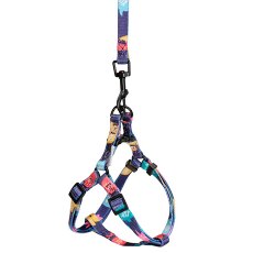 Camon H and Tnx / Шлейка Камон для собак с поводком