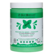Iv San Bernard Fruit of the Groomer Mint Vitamin B6 Mask / Маска Ив Сан Бернард для любого вида шерсти с витамином B6 Восстанавливающая