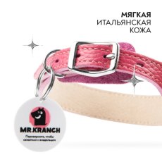 Mr.Kranch / Ошейник Мистер Кранч для собак из Натуральной кожи с QR-адресником Розовый, фото 