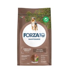 Forza10 Maintenance Medium Adult / Сухой корм Форза для взрослых собак Средних пород с Ягненком и рисом