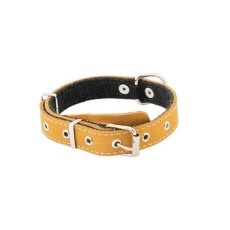 Homepet / Ошейник Хоумпет для собак Кожаный с Язычком на фетре простроченный Янтарь