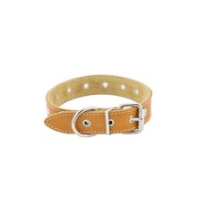 Homepet / Ошейник Хоумпет для собак Кожаный Двухслойный простроченный Янтарь