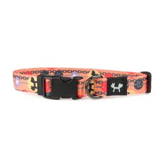 United Pets Complete me Forever / Ошейник Юнайтед Петс для собак оранжевый с рисунком