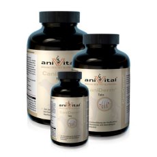 AniVital CaniDerm / Анивитал КаниДерм Таблетки для Кожи и шерсти Собак AniVital CaniDerm / Анивитал КаниДерм Таблетки для Кожи и шерсти Собак