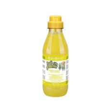 Iv San Bernard Fruit of the Groomer Ginger & Elderbery Shampoo / Шампунь Ив Сан Бернард для любого вида шерсти Против раздражений и перхоти