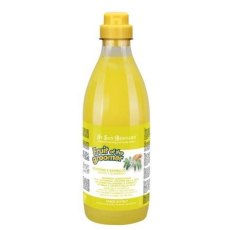 Iv San Bernard Fruit of the Groomer Ginger & Elderbery Shampoo / Шампунь Ив Сан Бернард для любого вида шерсти Против раздражений и перхоти