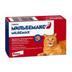 Elanco Мильбемакс антигельминтик для кошек Elanco Мильбемакс антигельминтик для кошек