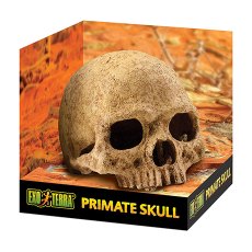 Hagen / Убежище-декор Хаген для террариумов череп Примата