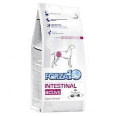 Forza10 Active Intestinal Fish 24\12 / Сухой Ветеринарный корм Форза для собак при заболеваниях ЖКТ