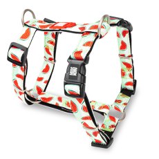 Max & Molly / Н-образная шлейка Макс и Молли для собак Арбуз