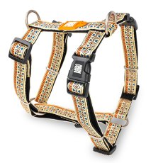 Max & Molly / Н-образная шлейка Макс и Молли для собак Этнический