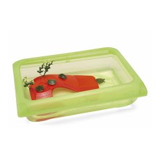 IMAC Atlantis / Террариум Аймак для черепах Открытый с островом IMAC Atlantis / Террариум Аймак для черепах Открытый с островом