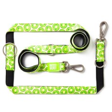 Max & Molly / Мультифункциональный поводок Макс и Молли для собак Киви