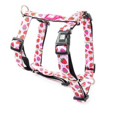 Max & Molly / Н-образная шлейка Макс и Молли для собак Клубничные мечты