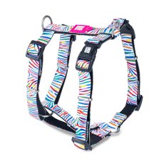 Max & Molly / Н-образная шлейка Макс и Молли для собак Волшебная зебра