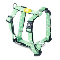 Max & Molly / Н-образная шлейка Макс и Молли для собак Ромашки