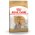 Royal Canin Breed dog Yorkshire Terrier Adult / Сухой корм Роял Канин для взрослых собак породы Йоркширский Терьер старше 10 месяцев