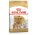 Royal Canin Breed dog Pomeranian Adult / Сухой корм Роял Канин для взрослых собак породы Померанский Шпиц от 8 месяцев и старше
