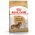 Royal Canin Breed dog Dachshund Adult / Сухой корм Роял Канин для взрослых собак породы Такса старше 10 месяцев