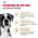 Royal Canin Breed dog Boxer Adult / Сухой корм Роял Канин для взрослых собак породы Боксер старше 15 месяцев