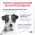 Royal Canin Neutered Adult Small Dog / Сухой корм Роял Канин для Кастрированных или Стерилизованных собак Мелких пород