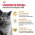 Royal Canin Breed cat British Shorthair / Сухой корм Роял Канин для Взрослых кошек породы Британская короткошерстная