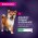 Eukanuba / Сухой корм Эукануба для Щенков Мелких и Средних пород до 12 месяцев с Ягненком