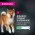 Eukanuba / Сухой корм Эукануба для взрослых собак Мелких и Средних пород старше 1 года с Ягненком