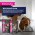 Eukanuba / Сухой корм Эукануба для взрослых собак Крупных и очень крупных пород старше 1 года с Ягненком